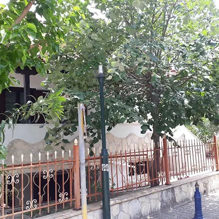 Spacious House 100 Metres From The Beach * Pefkochori